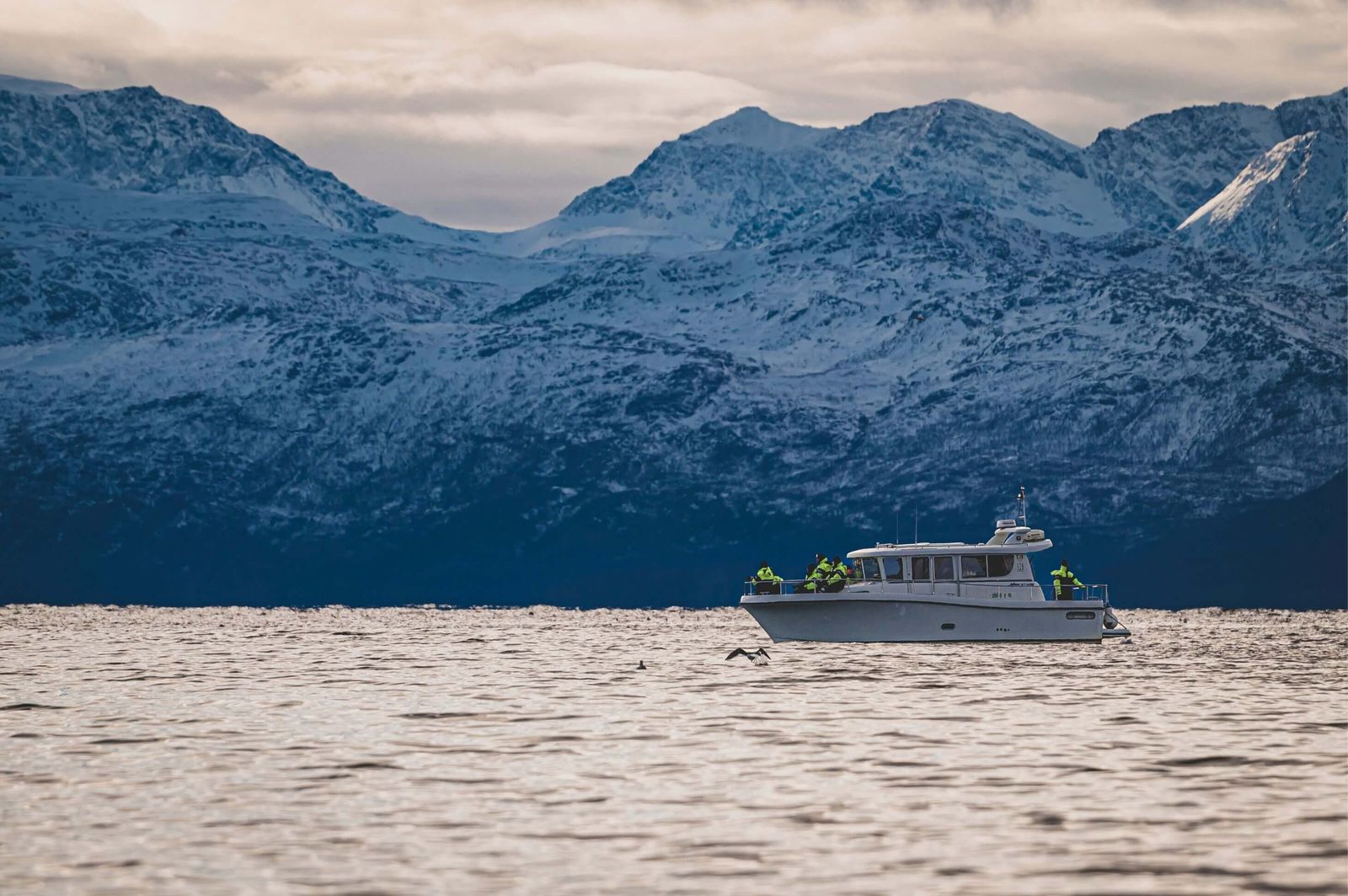 Fartøy på blå fjord under høye fjell