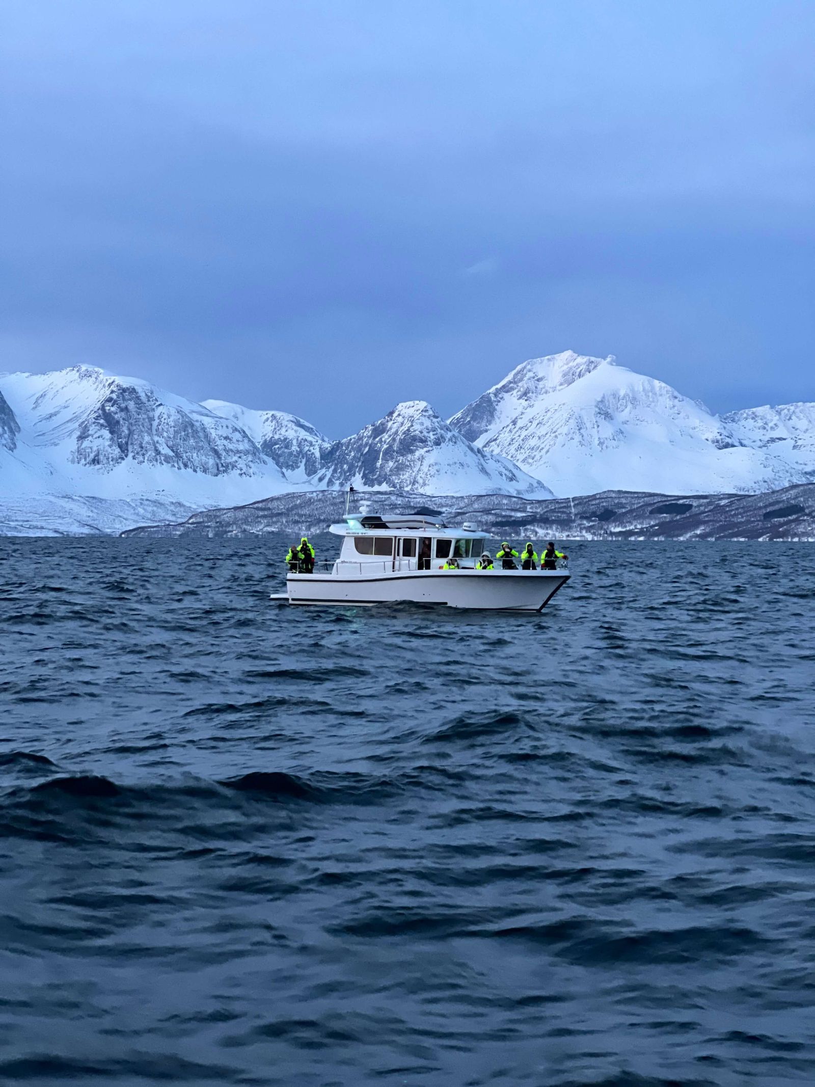 Båt under snødekte fjell på Lyngenfjorden